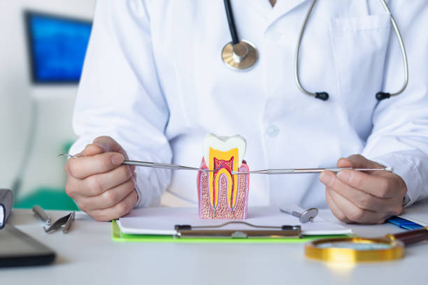 Best Emergency Treatment for Dental Infections or Abscesses in Warren, IN